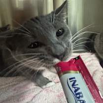 Thumbnail photo of Maria #2