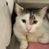 Thumbnail photo of Sammie Gregg #2