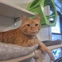 Thumbnail photo of Georgia #1