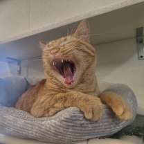 Thumbnail photo of Georgia #3