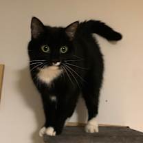 Thumbnail photo of Mopsy Estep #1