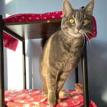 Thumbnail photo of Lexi #1