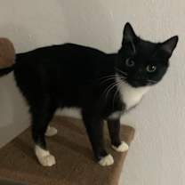 Thumbnail photo of Friskie Estep #1