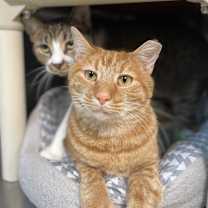 Thumbnail photo of Jody #2