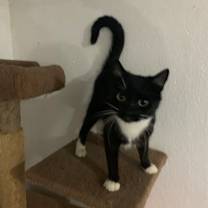 Thumbnail photo of Friskie Estep #2