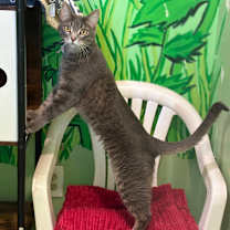 Thumbnail photo of Lexi #3