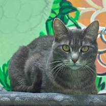 Thumbnail photo of Lexi #4