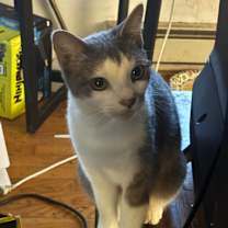 Thumbnail photo of Margaret #2