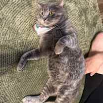 Thumbnail photo of Bubba #3