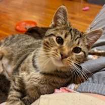 Thumbnail photo of Nature Siblings: Ivy (16750) #3