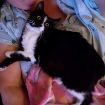 Thumbnail photo of Sugar #1