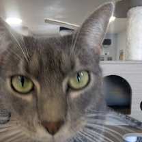 Thumbnail photo of Bibble #3