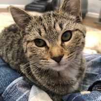 Thumbnail photo of Chili #2