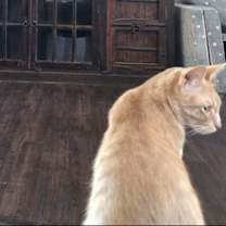 Thumbnail photo of Grace #1