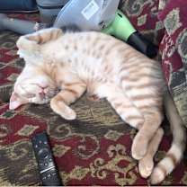 Thumbnail photo of Grace #2