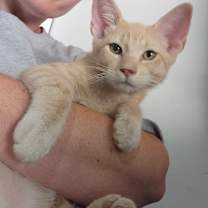 Thumbnail photo of Grace #3