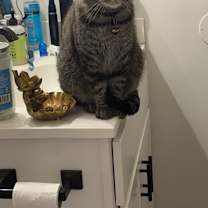 Thumbnail photo of Mance #3