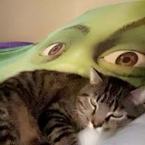 Thumbnail photo of Mance #4