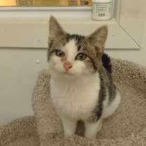 Thumbnail photo of Christa #3