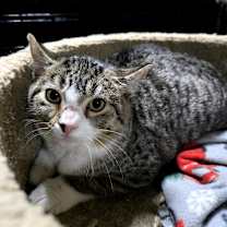 Thumbnail photo of Talia #1