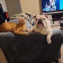 Thumbnail photo of Flerken #4