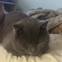 Thumbnail photo of Zero #2