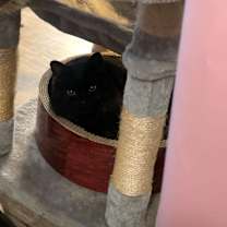 Thumbnail photo of Meadow #1