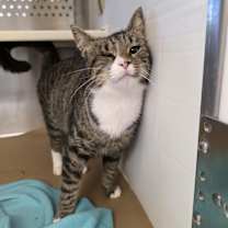 Thumbnail photo of Sabrina #2