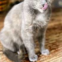 Thumbnail photo of Jerome (female) #2