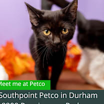 Thumbnail photo of Venice #1