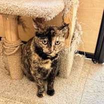 Thumbnail photo of GG #3