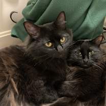 Thumbnail photo of Whisker and Bebo #3