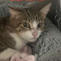 Thumbnail photo of Marvin 25 #2