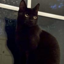 Thumbnail photo of Anchor #4