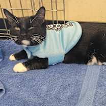 Thumbnail photo of Jolly Rancher #2