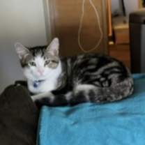 Thumbnail photo of Peanut must go with Louie #4