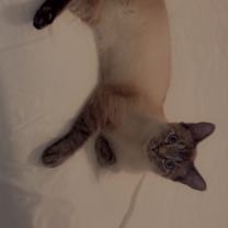 Thumbnail photo of Meadow #3