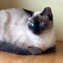 Thumbnail photo of Fiona #1