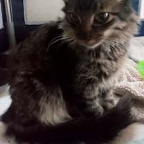 Thumbnail photo of Heather #2