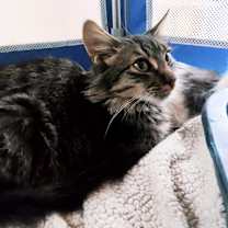 Thumbnail photo of Heather #3