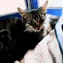 Thumbnail photo of Heather #4