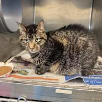 Thumbnail photo of Charlie #2