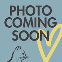 Thumbnail photo of Charlie #3