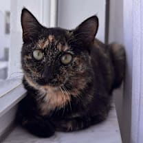 Thumbnail photo of Khloe #1