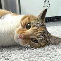 Thumbnail photo of Sophia #1