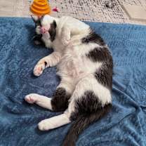 Thumbnail photo of Buster #2