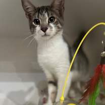 Thumbnail photo of Archie #1