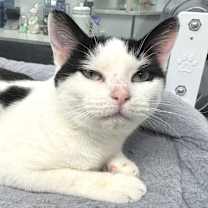 Thumbnail photo of Mootilda #1