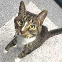 Thumbnail photo of Captain #1