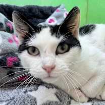 Thumbnail photo of Mootilda #2